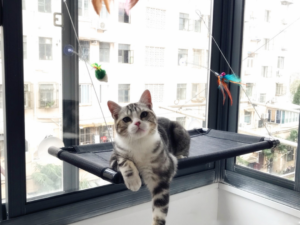 Hamaca Cama De Gato Para Ventana, Soporte Con Ventosas