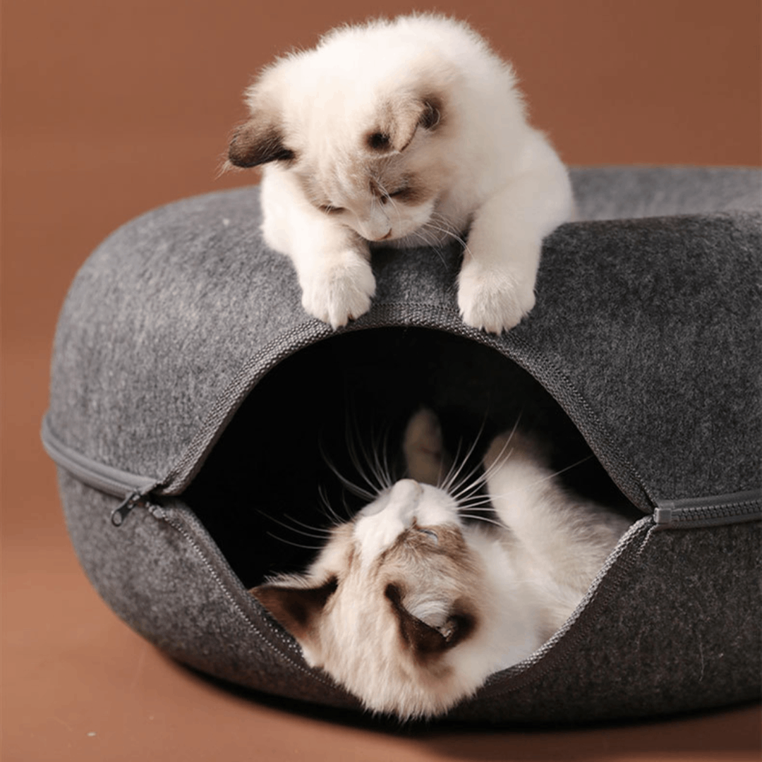 Cama Tunel Para Gato En Forma De Dona - Imagen 5