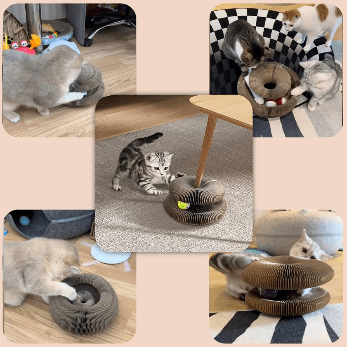Rascador Acordéon Para Gato Con Pelota Y Yerba Gatera - Imagen 5