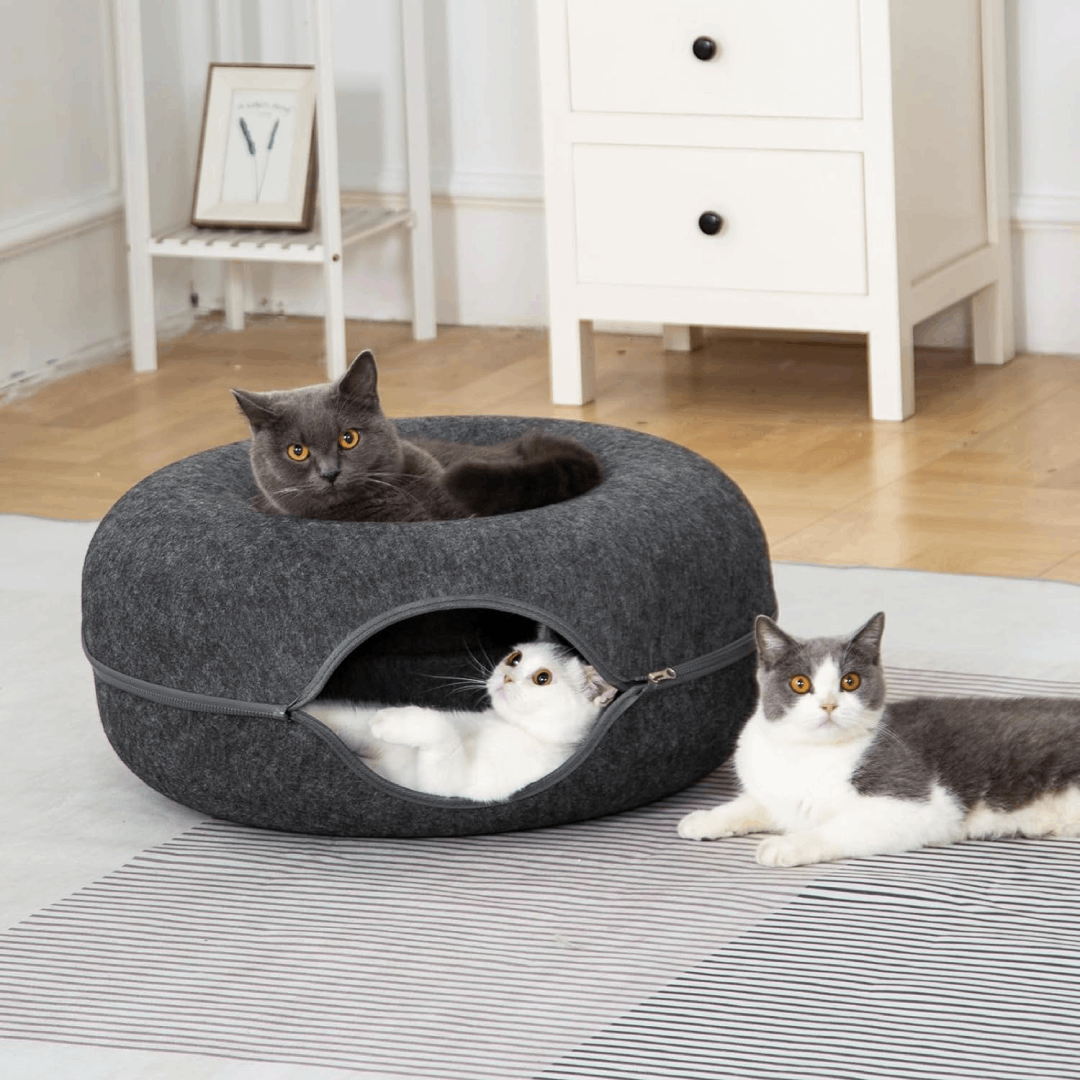 Cama Tunel Para Gato En Forma De Dona - Imagen 4