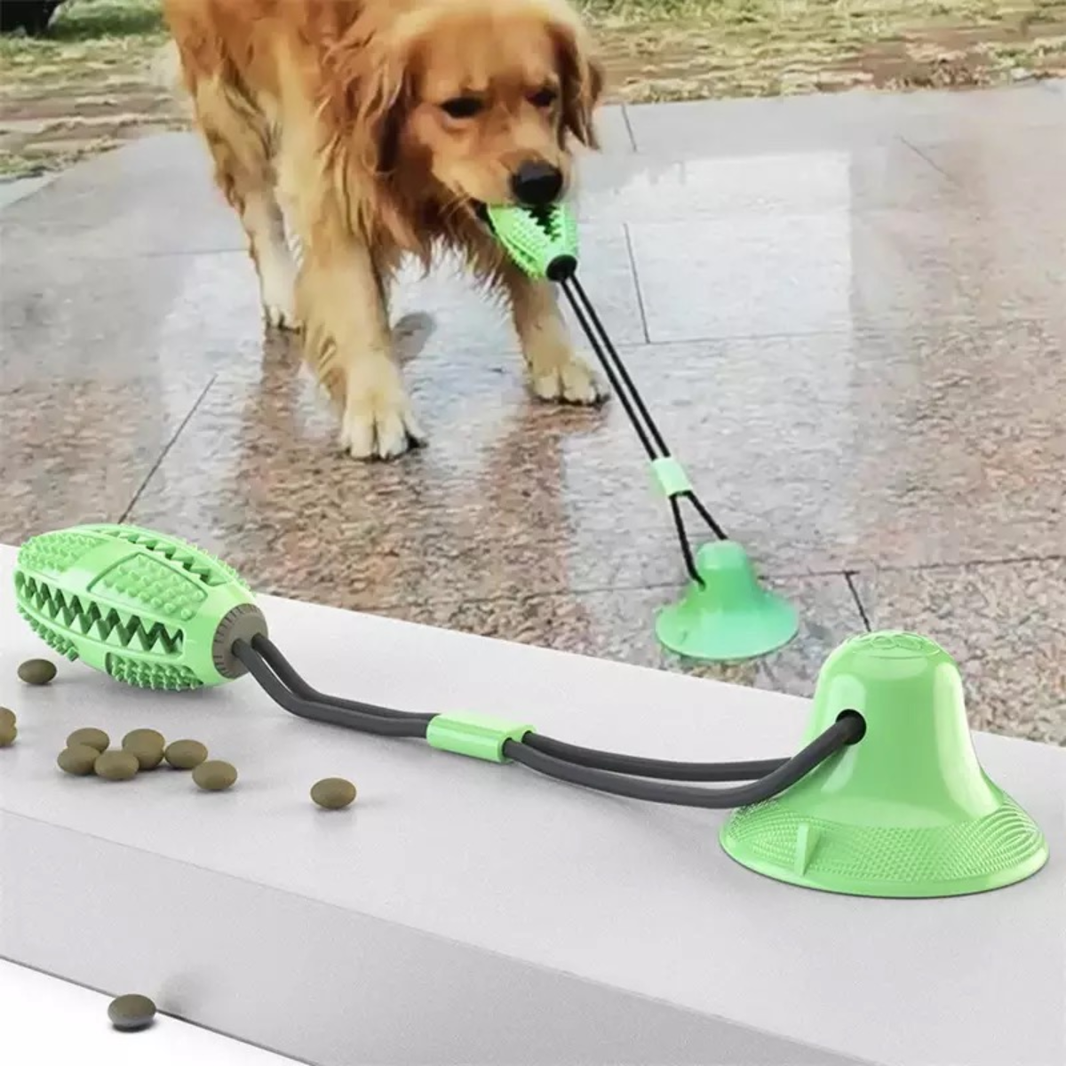 Juguete Dental Con Ventosa Para Perro