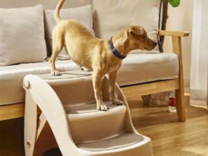 Escalera Plegable Antideslizante Perro Gato 38cm alto