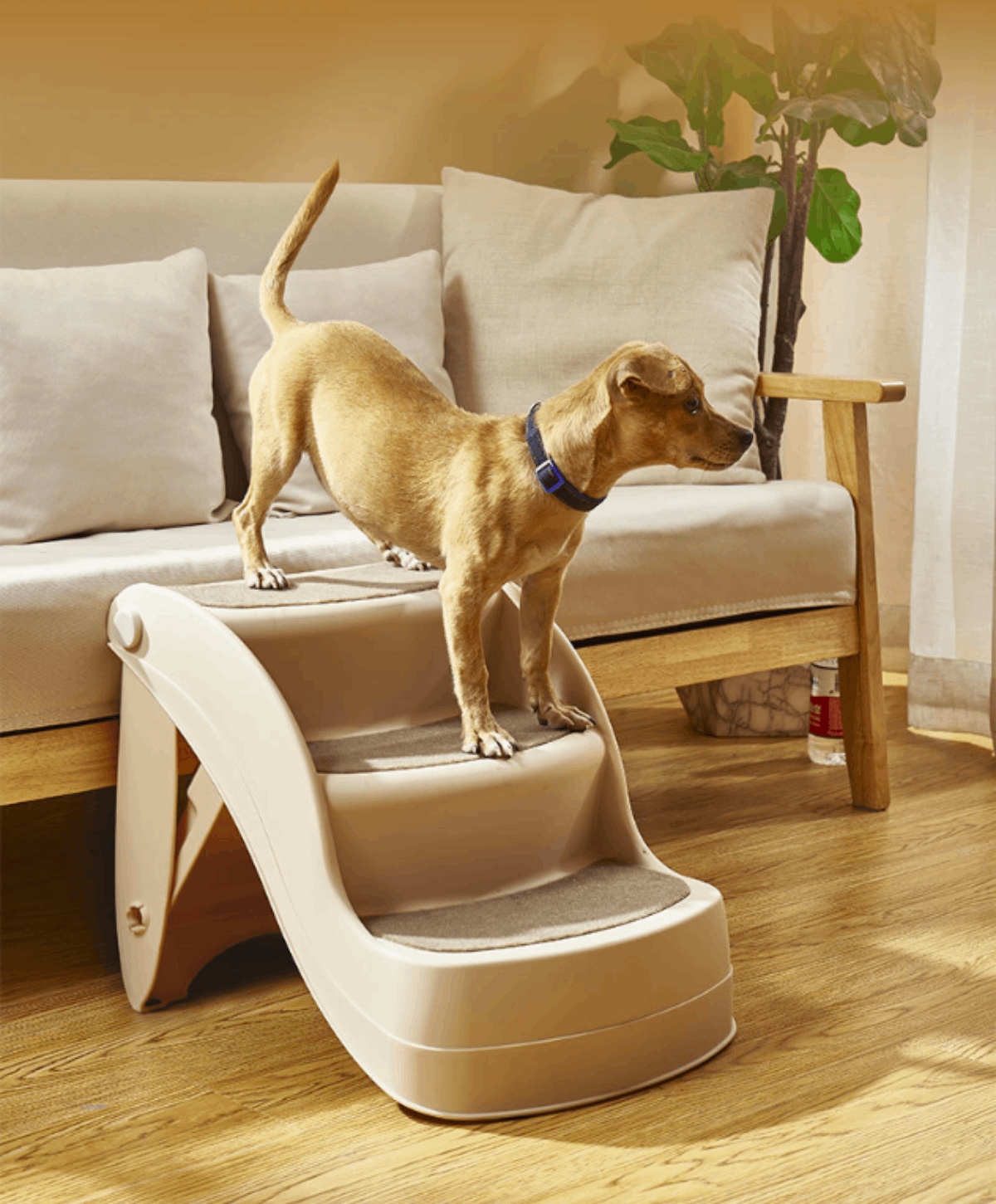 Escalera Plegable Antideslizante Perro Gato 38cm alto