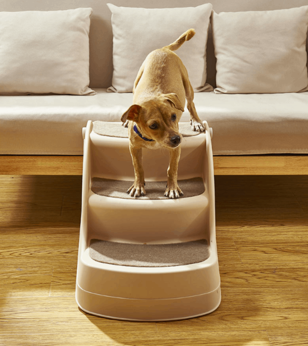Escalera Plegable Antideslizante Perro Gato 38cm alto - Imagen 3