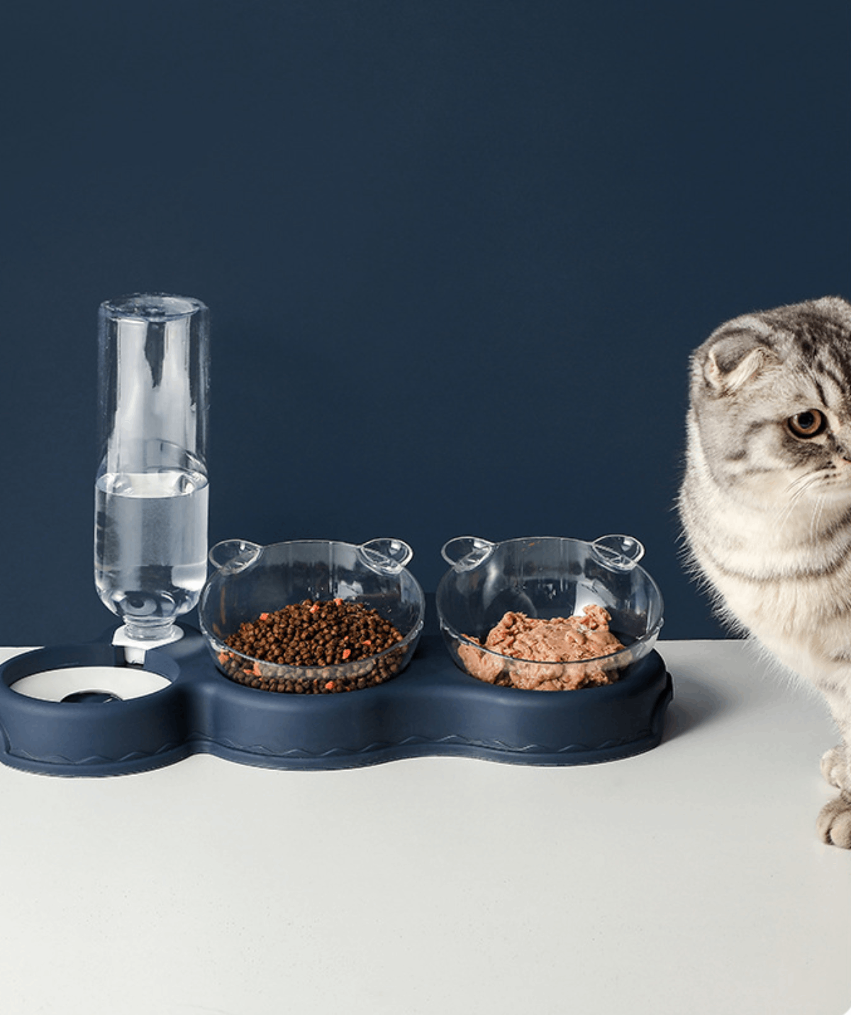Comedero Elevado Con Bebedero Automático Para Mascota - Imagen 3