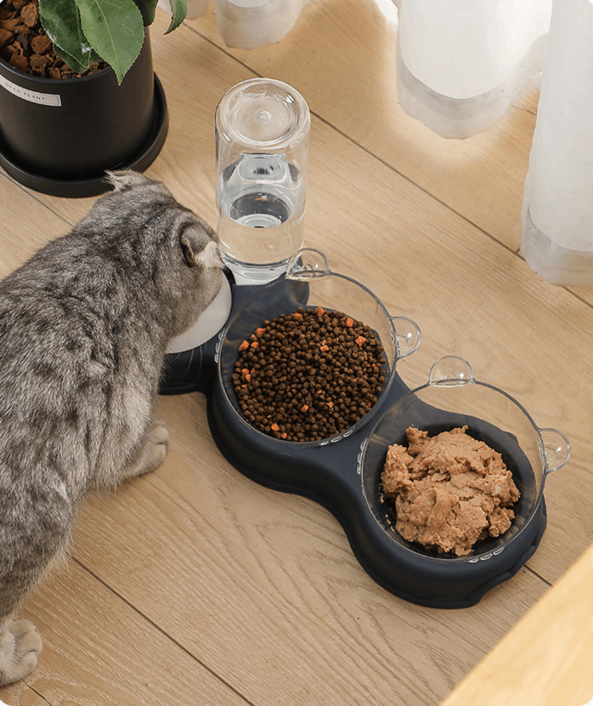 Comedero Elevado Con Bebedero Automático Para Mascota - Imagen 2