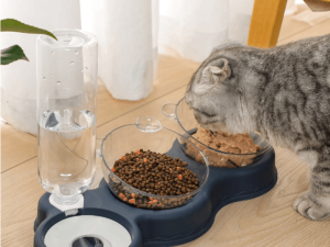 Comedero Elevado Con Bebedero Automático Para Mascota