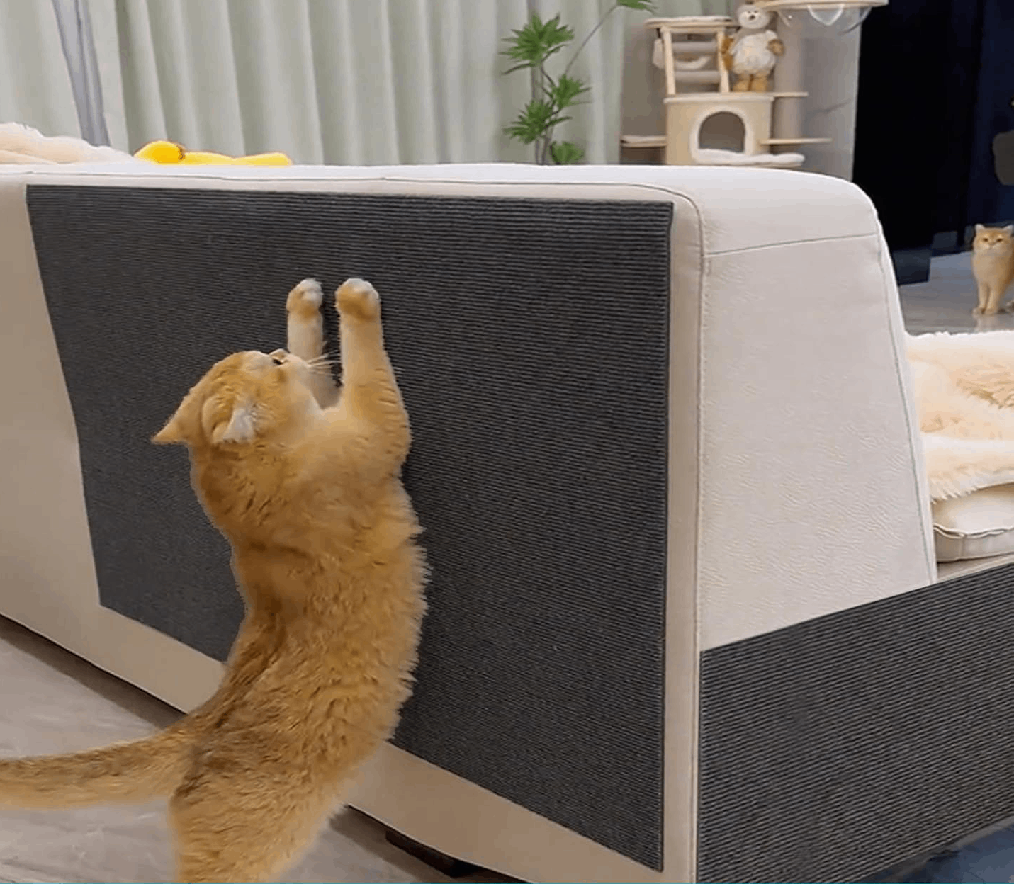 Rascador Gato Protector De Sofa Sillón Autohadesivo 100x60 - Imagen 3