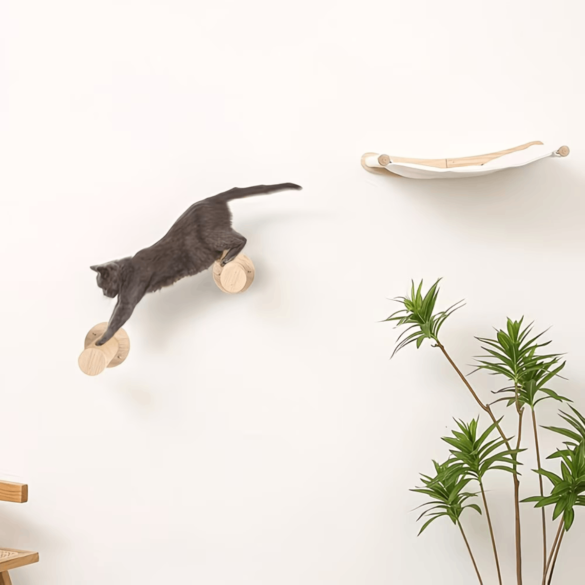 Rascador De Pared Para Gatos Con Hamaca Y Escaladores Sisal - Imagen 2